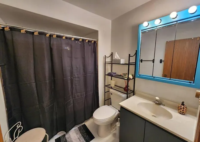 Retro 2 Bedroom 6 Mins To United Center With Parking Apartment